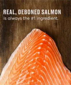 American Journey Indoor Recipe with Salmon Grain-Free Dry Cat Food, 12-lb bag -American Journey Store 243726 PT7. SY630 V1611608177