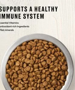 American Journey Indoor Recipe with Turkey & Chicken Grain-Free Dry Cat Food, 12-lb bag 14 American Journey Indoor Recipe with Turkey & Chicken Grain-Free Dry Cat Food, 12-lb bag -American Journey Store 243728 PT3. SY630 V1611089555