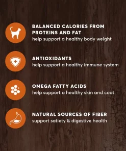 American Journey Indoor Recipe with Turkey & Chicken Grain-Free Dry Cat Food, 12-lb bag 15 American Journey Indoor Recipe with Turkey & Chicken Grain-Free Dry Cat Food, 12-lb bag -American Journey Store 243728 PT4. SY630 V1611089557