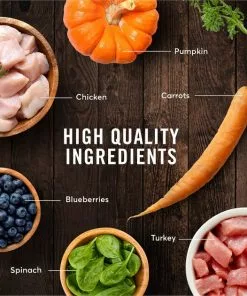 American Journey Indoor Recipe with Turkey & Chicken Grain-Free Dry Cat Food, 12-lb bag 16 American Journey Indoor Recipe with Turkey & Chicken Grain-Free Dry Cat Food, 12-lb bag -American Journey Store 243728 PT5. SY630 V1611089559