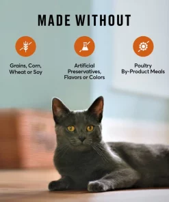 American Journey Indoor Recipe with Turkey & Chicken Grain-Free Dry Cat Food, 12-lb bag 17 American Journey Indoor Recipe with Turkey & Chicken Grain-Free Dry Cat Food, 12-lb bag -American Journey Store 243728 PT6. SY630 V1611089561