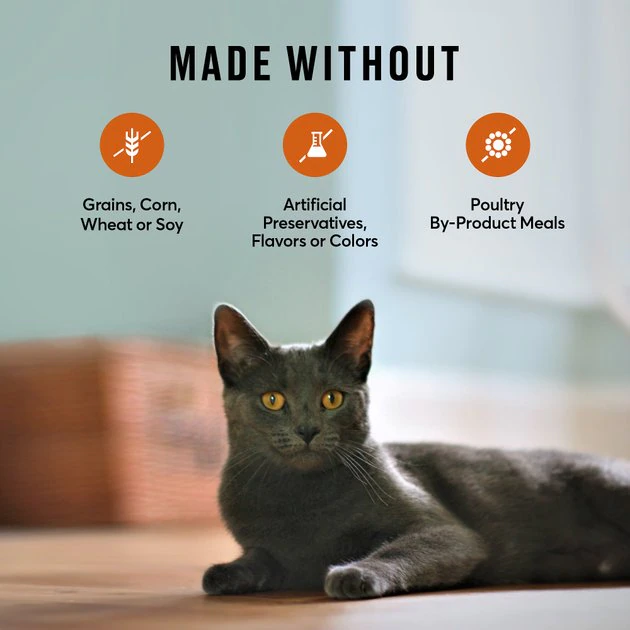 American Journey Indoor Recipe with Turkey & Chicken Grain-Free Dry Cat Food, 12-lb bag 9 American Journey Indoor Recipe with Turkey & Chicken Grain-Free Dry Cat Food, 12-lb bag - Image 7