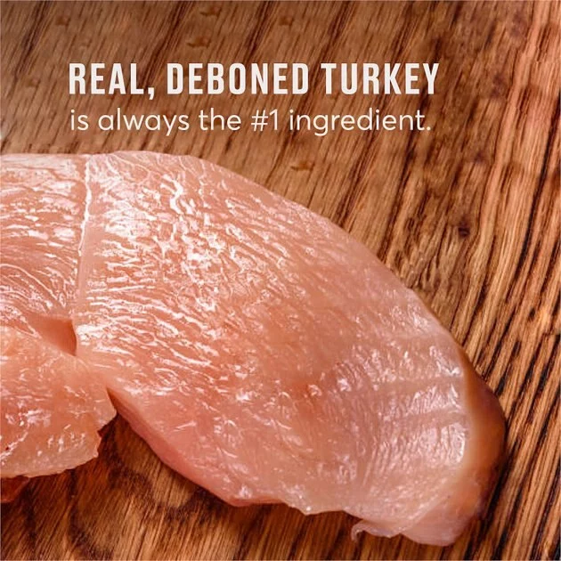 American Journey Indoor Recipe with Turkey & Chicken Grain-Free Dry Cat Food, 12-lb bag 10 American Journey Indoor Recipe with Turkey & Chicken Grain-Free Dry Cat Food, 12-lb bag - Image 8