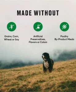 American Journey Duck & Sweet Potato Grain-Free Dry Dog Food, 24 lb bag -American Journey Store 245941 PT6. SY630 V1605752540
