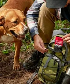American Journey Adventure Bars Beef & Carrot Recipe Grain-Free Soft & Chewy Dog Treats -American Journey Store 261561 PT8. SY630 V1616123493