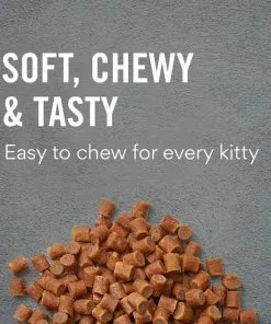 American Journey Salmon Recipe Grain-Free Soft & Chewy Cat Treats -American Journey Store 272119 PT2. SY630 V1620928053