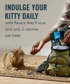 American Journey Salmon Recipe Grain-Free Soft & Chewy Cat Treats -American Journey Store 272119 PT3. SY630 V1620928046