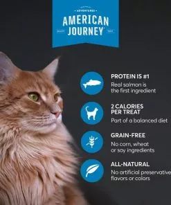 American Journey Salmon Recipe Grain-Free Soft & Chewy Cat Treats -American Journey Store 272119 PT5. SY630 V1620928342