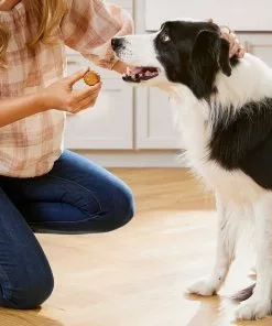 American Journey With Peanut Butter & Banana Grain-Free Soft-Baked Dog Treats, 8-oz bag 15 American Journey With Peanut Butter & Banana Grain-Free Soft-Baked Dog Treats, 8-oz bag -American Journey Store 280804 PT5. SY630 V1626205919