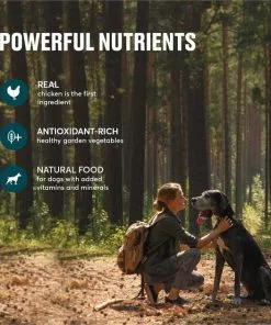 American Journey Active Life Formula Chicken & Garden Vegetables Recipe Canned Dog Food, 12.5-oz, case of 12 -American Journey Store 286573 PT4. SY630 V1632754618