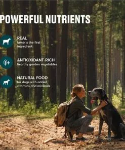 American Journey Active Life Formula Lamb & Garden Vegetables Recipe Canned Dog Food, 12.5-oz, case of 12 -American Journey Store 286575 PT4. SY630 V1632755915