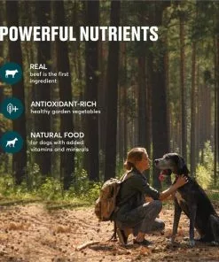 American Journey Active Life Formula Beef & Garden Vegetables Recipe Canned Dog Food, 12.5-oz, case of 12 -American Journey Store 286577 PT4. SY630 V1632754871