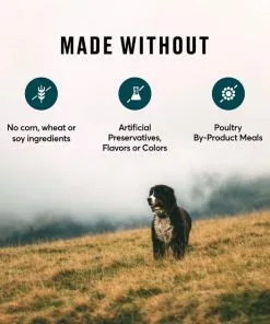 American Journey Active Life Formula Poultry & Beef Variety Pack Canned Dog Food, 12.5-oz, case of 12 -American Journey Store 286581 PT4. SY630 V1629146564