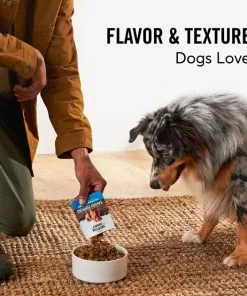 American Journey Savory Toppers Beef Recipe in Gravy Grain-Free Dog Food Topper, 3-oz pouches, case of 24 -American Journey Store 286953 PT3. SY630 V1628536078