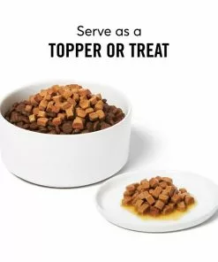 American Journey Savory Toppers Beef Recipe in Gravy Grain-Free Dog Food Topper, 3-oz pouches, case of 24 -American Journey Store 286953 PT4. SY630 V1628535482