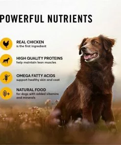 American Journey Chicken Recipe Grain-Free Canned Dog Food, 12.5-oz -American Journey Store 287336 PT3. SY630 V1649265710