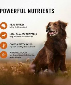American Journey Turkey Recipe Grain-Free Canned Dog Food, 12.5-oz 13 American Journey Turkey Recipe Grain-Free Canned Dog Food, 12.5-oz -American Journey Store 287338 PT3. SY630 V1649970109