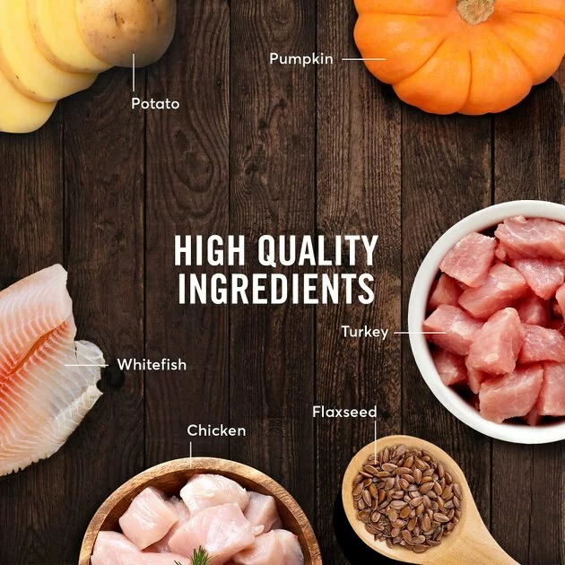 American Journey Turkey Recipe Grain-Free Canned Dog Food, 12.5-oz 7 American Journey Turkey Recipe Grain-Free Canned Dog Food, 12.5-oz - Image 5