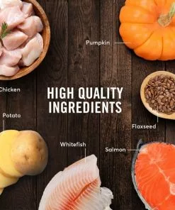 American Journey Chicken & Salmon Recipe Grain-Free Canned Dog Food 14 American Journey Chicken & Salmon Recipe Grain-Free Canned Dog Food -American Journey Store 287341 PT4. SY630 V1649265694