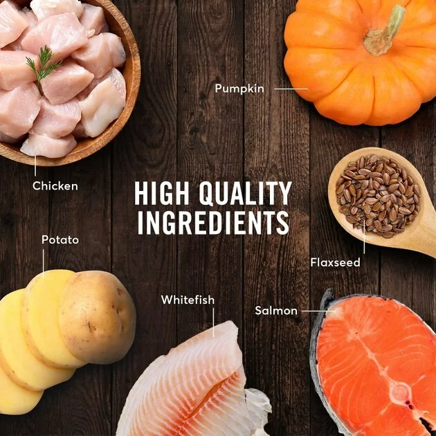 American Journey Chicken & Salmon Recipe Grain-Free Canned Dog Food 7 American Journey Chicken & Salmon Recipe Grain-Free Canned Dog Food - Image 5