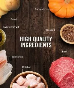 American Journey Beef Recipe Grain-Free Canned Dog Food, 12.5-oz, case of 12 -American Journey Store 287343 PT4. SY630 V1649265702