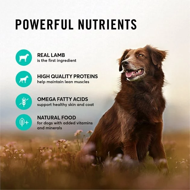 American Journey Lamb Recipe Grain-Free Canned Dog Food, 12.5-oz, case of 12 6 American Journey Lamb Recipe Grain-Free Canned Dog Food, 12.5-oz, case of 12 - Image 4