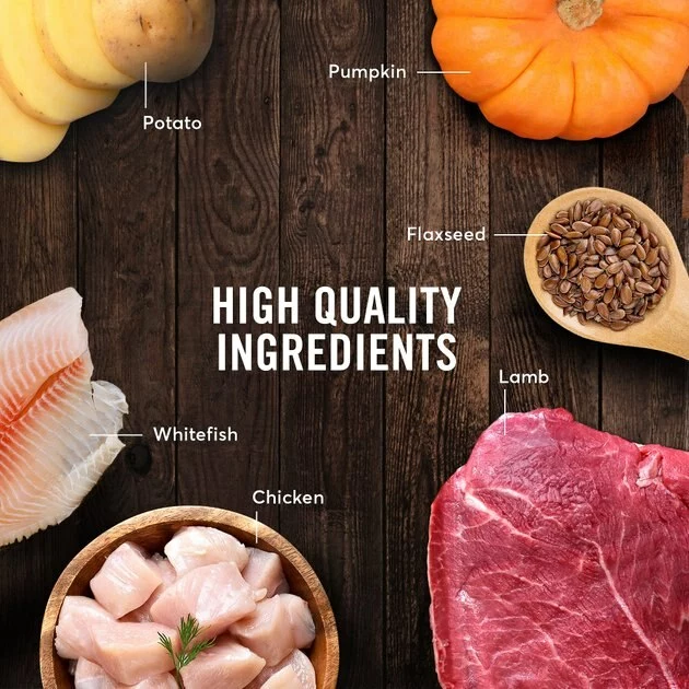 American Journey Lamb Recipe Grain-Free Canned Dog Food, 12.5-oz, case of 12 7 American Journey Lamb Recipe Grain-Free Canned Dog Food, 12.5-oz, case of 12 - Image 5