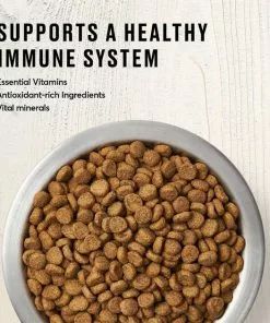 American Journey Indoor Recipe with Chicken Grain-Free Dry Cat Food, 12-lb bag & American Journey Indoor Pate Chicken Recipe Grain-Free Canned Cat Food, 5.5-oz, case of 24 -American Journey Store 290204 PT3. SY630 V1619188029