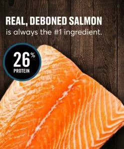 American Journey Grain-Free with Salmon, Whitefish & Trout Dry Dog Food, 24-lb bag -American Journey Store 291324 PT6. SY630 V1625086088