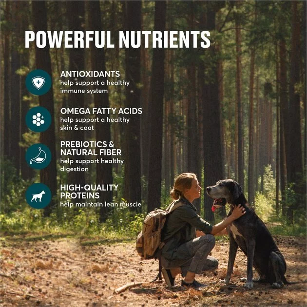 American Journey Grain-Free with Lamb, Venison & Beef Dry Dog Food, 24-lb bag 7 American Journey Grain-Free with Lamb, Venison & Beef Dry Dog Food, 24-lb bag - Image 5