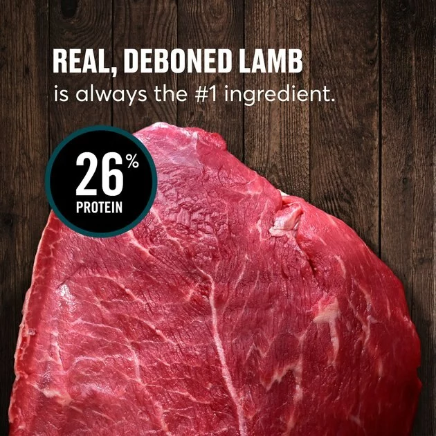 American Journey Grain-Free with Lamb, Venison & Beef Dry Dog Food, 24-lb bag 9 American Journey Grain-Free with Lamb, Venison & Beef Dry Dog Food, 24-lb bag - Image 7