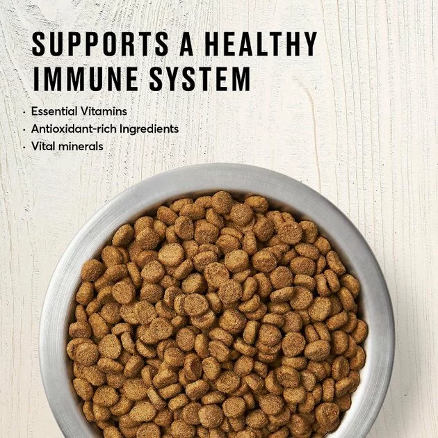 American Journey||Blue Buffalo American Journey Indoor Recipe with Chicken Grain-Free Dry Food + Blue Buffalo Wilderness Indoor Chicken Recipe Grain-Free Dry Cat Food 6 American Journey||Blue Buffalo American Journey Indoor Recipe with Chicken Grain-Free Dry Food + Blue Buffalo Wilderness Indoor Chicken Recipe Grain-Free Dry Cat Food - Image 4
