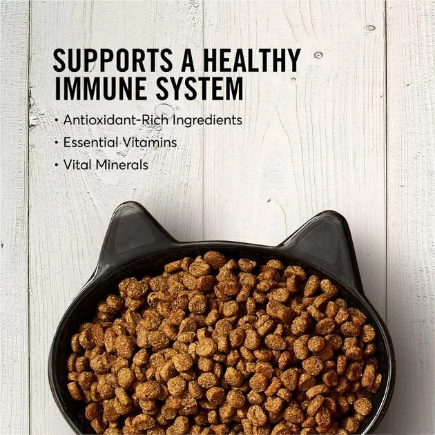 American Journey||Frisco American Journey Salmon Recipe Grain-Free Dry Food + Frisco Cat Tracks Butterfly Cat Toy 6 American Journey||Frisco American Journey Salmon Recipe Grain-Free Dry Food + Frisco Cat Tracks Butterfly Cat Toy - Image 4