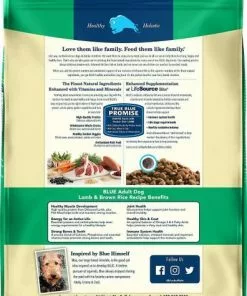Blue Buffalo||American Journey Blue Buffalo Life Protection Formula Adult Lamb & Brown Rice Recipe Dry Food + American Journey Beef & Chicken Recipe Grain-Free Canned Dog Food -American Journey Store 292710 PT2. SY630 V1619976724