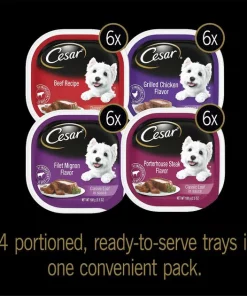 Cesar||American Journey Cesar Classic Loaf in Sauce Beef Recipe, Filet Mignon, Grilled Chicken, & Porterhouse Steak Flavors Food Trays + American Journey Beef Recipe Grain-Free Soft & Chewy Training Bits Dog Treats -American Journey Store 292828 PT2. SY630 V1619987524