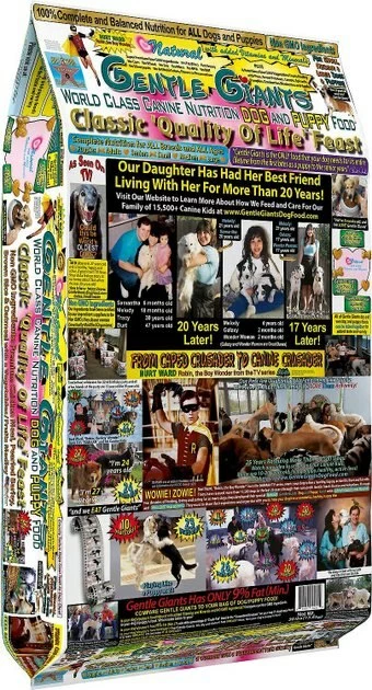 Gentle Giants||American Journey Gentle Giants Canine Nutrition Chicken Dry Food + American Journey Peanut Butter Recipe Grain-Free Oven Baked Crunchy Biscuit Dog Treats 4 Gentle Giants||American Journey Gentle Giants Canine Nutrition Chicken Dry Food + American Journey Peanut Butter Recipe Grain-Free Oven Baked Crunchy Biscuit Dog Treats - Image 2