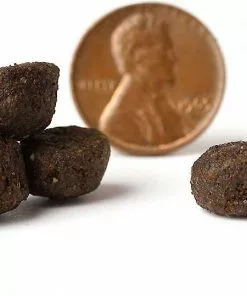 VICTOR||American Journey VICTOR Purpose Active Dog & Puppy Formula Grain-Free Dry Food + American Journey Beef Recipe Grain-Free Soft & Chewy Training Bits Dog Treats 13 VICTOR||American Journey VICTOR Purpose Active Dog & Puppy Formula Grain-Free Dry Food + American Journey Beef Recipe Grain-Free Soft & Chewy Training Bits Dog Treats -American Journey Store 293974 PT3. SY630 V1620089250