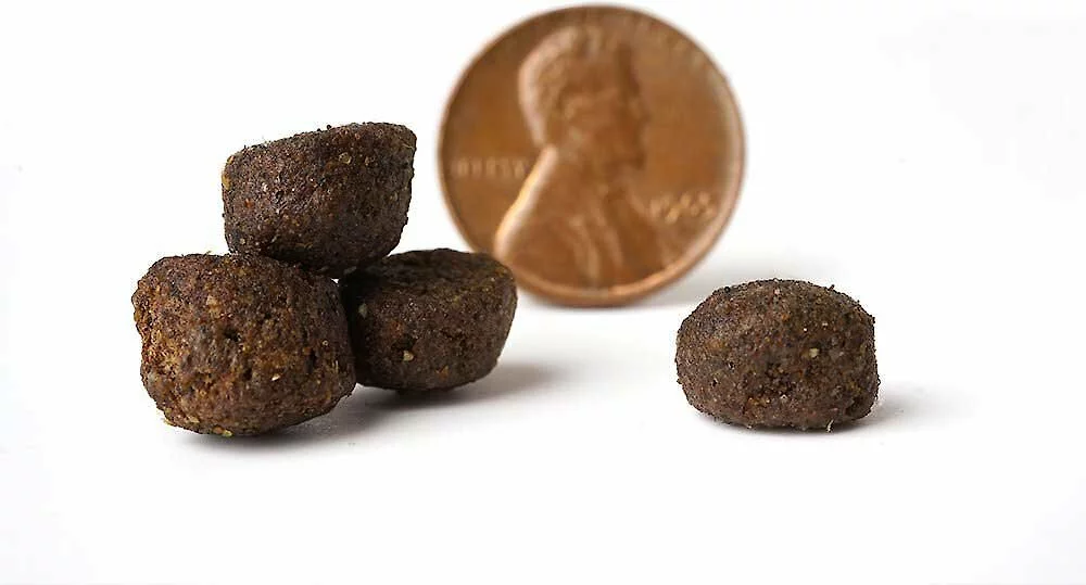 VICTOR||American Journey VICTOR Purpose Active Dog & Puppy Formula Grain-Free Dry Food + American Journey Beef Recipe Grain-Free Soft & Chewy Training Bits Dog Treats 6 VICTOR||American Journey VICTOR Purpose Active Dog & Puppy Formula Grain-Free Dry Food + American Journey Beef Recipe Grain-Free Soft & Chewy Training Bits Dog Treats - Image 4