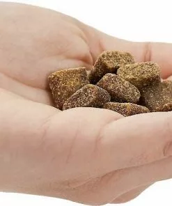 VICTOR||American Journey VICTOR Purpose Active Dog & Puppy Formula Grain-Free Dry Food + American Journey Beef Recipe Grain-Free Soft & Chewy Training Bits Dog Treats 17 VICTOR||American Journey VICTOR Purpose Active Dog & Puppy Formula Grain-Free Dry Food + American Journey Beef Recipe Grain-Free Soft & Chewy Training Bits Dog Treats -American Journey Store 293974 PT7. SY630 V1620077528