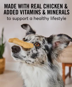 American Journey Active Life Chicken & Rice Flavor Large Biscuit Dog Treats, 15lb box -American Journey Store 297544 PT3. SY630 V1632493274