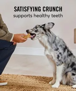 American Journey Active Life Chicken & Rice Flavor Large Biscuit Dog Treats, 15lb box -American Journey Store 297544 PT7. SY630 V1632493282