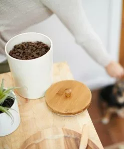 American Journey||Frisco American Journey 100% Chicken Freeze-Dried Grain-Free Cat Treats + Frisco Melamine Dog & Cat Treat Jar with Bamboo Lid, 8 Cups -American Journey Store 297660 PT7. SY630 V1623339151