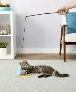 American Journey||Frisco American Journey 100% Chicken Freeze-Dried Grain-Free Cat Treats, 5-oz bag + Frisco Bird Teaser with Feathers Cat Toy, Blue -American Journey Store 297664 PT7. SY630 V1621266747