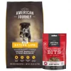 American Journey Active Life Formula Puppy Chicken, Brown Rice & Vegetables Recipe Dog Food, 28-lb bag + American Journey Beef Recipe Grain-Free Soft & Chewy Training Bits Dog Treats, 4-oz bag