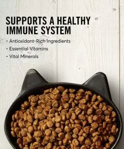 American Journey||Blue Buffalo American Journey Duck Recipe Grain-Free Dry Cat Food, 5-lb bag + Blue Buffalo Wilderness Duck Recipe Grain-Free Dry Cat Food, 5-lb bag -American Journey Store 297694 PT3. SY630 V1623254842