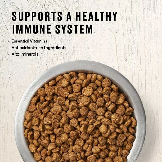 American Journey Kitten Chicken Recipe Grain-Free Dry Cat Food, 5-lb bag + American Journey Kitten Pate Chicken Recipe Grain-Free Canned Cat Food, 3-oz, case of 24 6 American Journey Kitten Chicken Recipe Grain-Free Dry Cat Food, 5-lb bag + American Journey Kitten Pate Chicken Recipe Grain-Free Canned Cat Food, 3-oz, case of 24 - Image 4