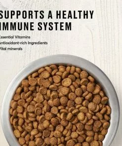 American Journey Kitten Chicken Recipe Grain-Free Dry Cat Food, 5-lb bag + American Journey Kitten Minced Chicken Recipe in Gravy Grain-Free Canned Cat Food, 3-oz, case of 24 -American Journey Store 297740 PT3. SY630 V1621302142