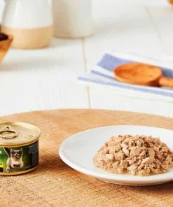 American Journey Kitten Chicken Recipe Grain-Free Dry Cat Food, 5-lb bag + American Journey Kitten Minced Chicken Recipe in Gravy Grain-Free Canned Cat Food, 3-oz, case of 24 -American Journey Store 297740 PT6. SY630 V1621288948