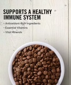 American Journey||Tylee's American Journey Large Breed Adult Chicken & Sweet Potato Recipe Grain-Free Dry Dog Food, 12-lb bag + Tylee's Freeze-Dried Mixers for Dogs, Chicken & Salmon Recipe, 18oz -American Journey Store 297746 PT3. SY630 V1623339145