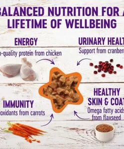 American Journey||Wellness American Journey Minced Chicken & Turkey Recipe in Gravy Grain-Free Canned Cat Food, 3-oz, case of 24 + Wellness Minced Chicken Dinner Grain-Free Canned Cat Food, 3-oz, case of 24 -American Journey Store 297762 PT5. SY630 V1623339142